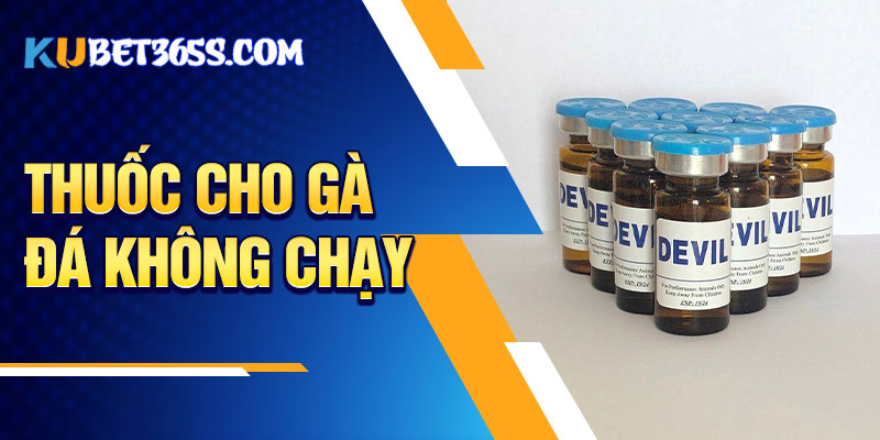 Thuốc cho gà đá không chạy