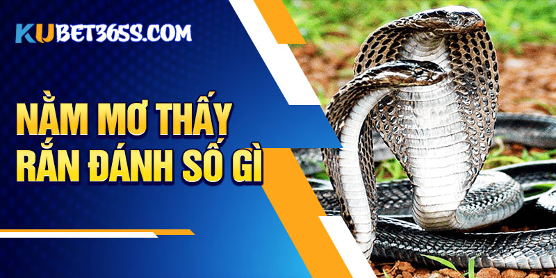 Nằm mơ thấy rắn đánh số gì