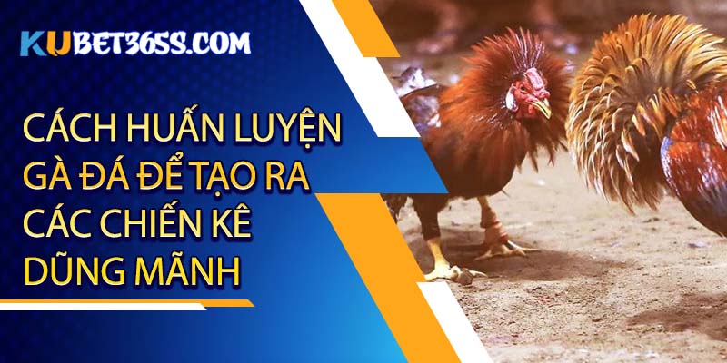 Cách huấn luyện gà đá