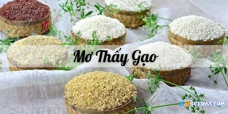 Giải mã ý nghĩa của Mơ thấy gạo về những điều may